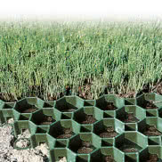 Krata trawnikowa 